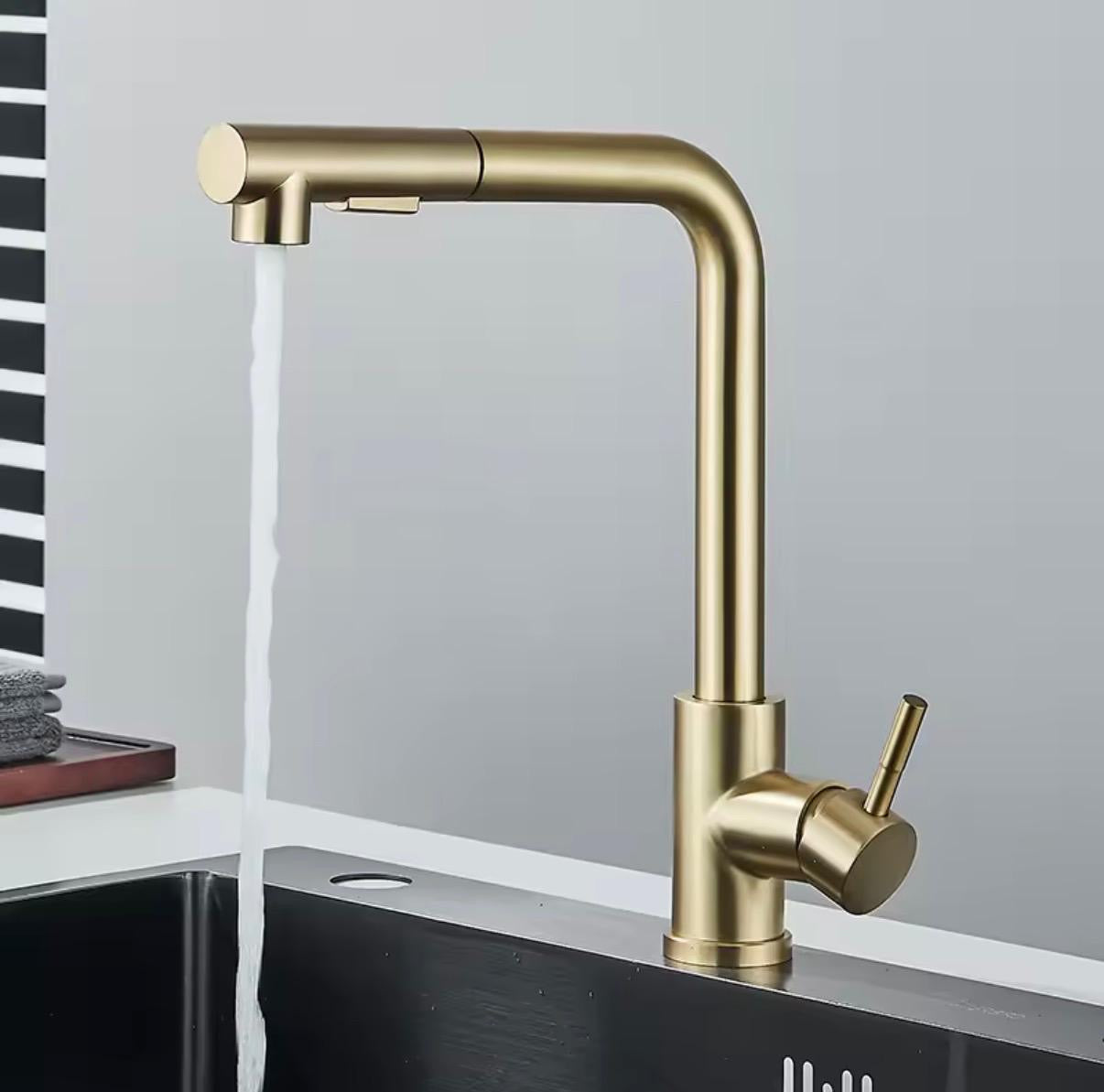 Herausziehbarer Wasserhahn, 2-Modus